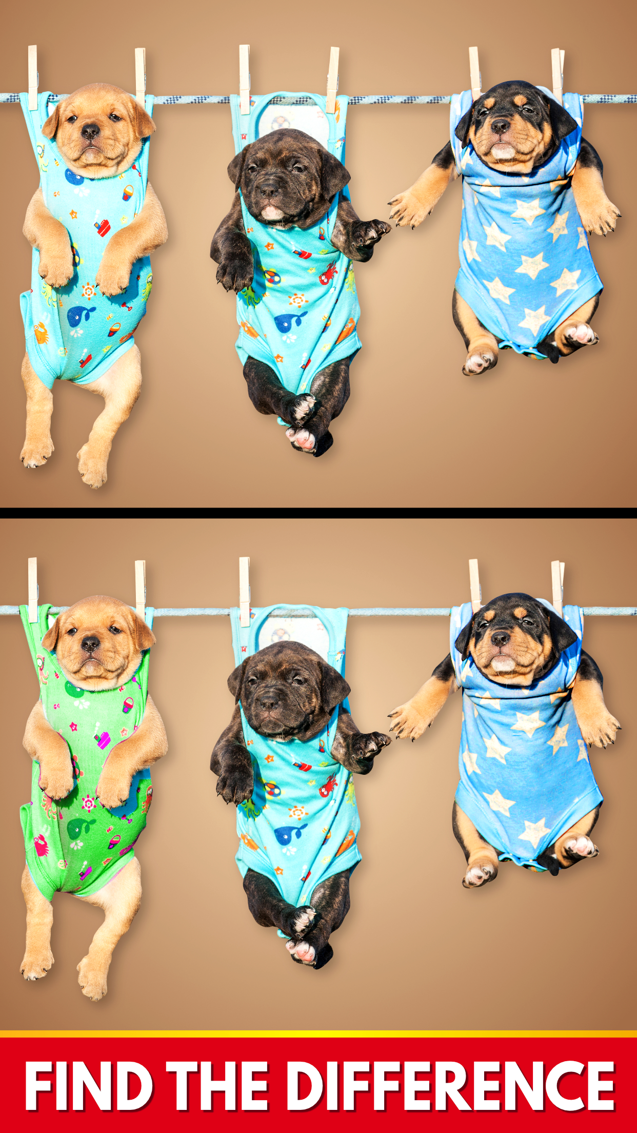 Find The Differences - Spot it Android App