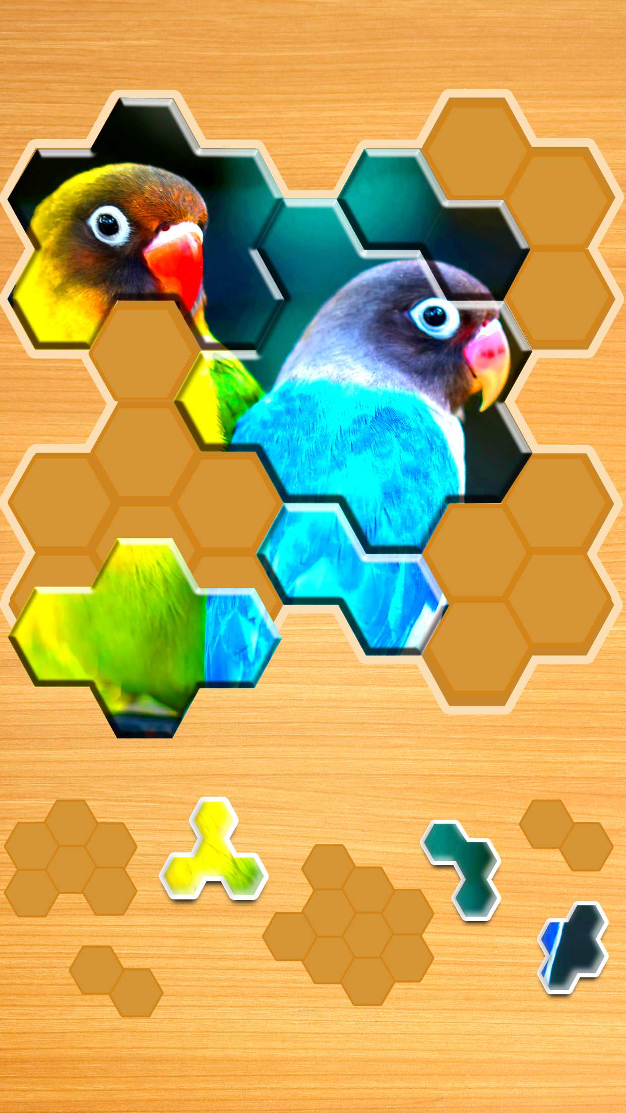 Jigsaw Puzzles Hexa Android App