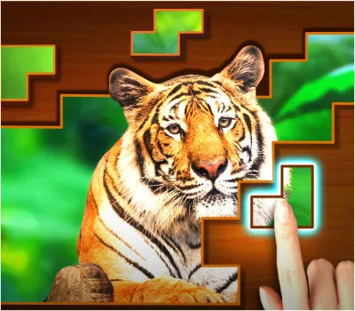 Jigsaw Puzzles Blocks