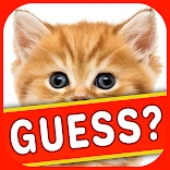 Guess the Picture game, featuring a spinning word prompt for players to guess the correct answer.