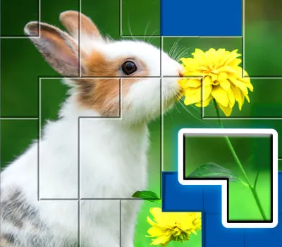 Puzzles: Jigsaw Puzzle Games