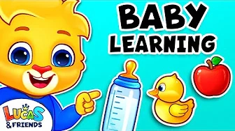 Educational Video to Learn Sign Languages